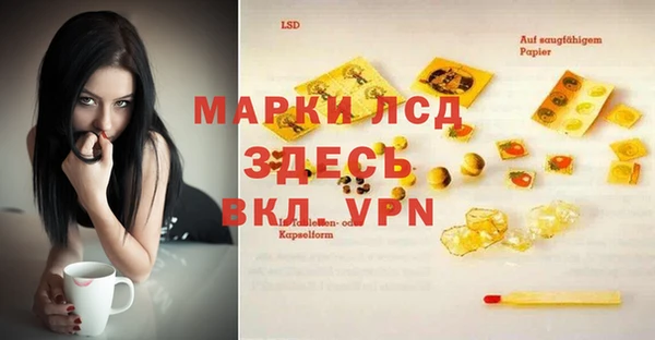 прущие грибы Арсеньев