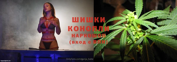 прущие грибы Арсеньев