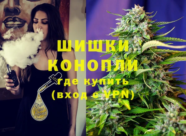 прущие грибы Арсеньев