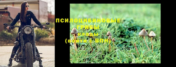 прущие грибы Арсеньев