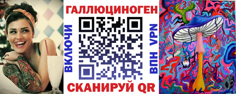 Псилоцибиновые грибы Psilocybe  Сураж 
